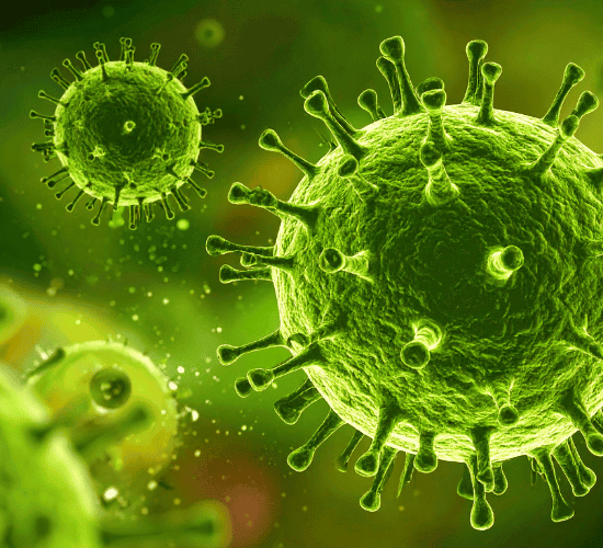 Microorganisms in Daily Life Quiz: Try to Score 100%
