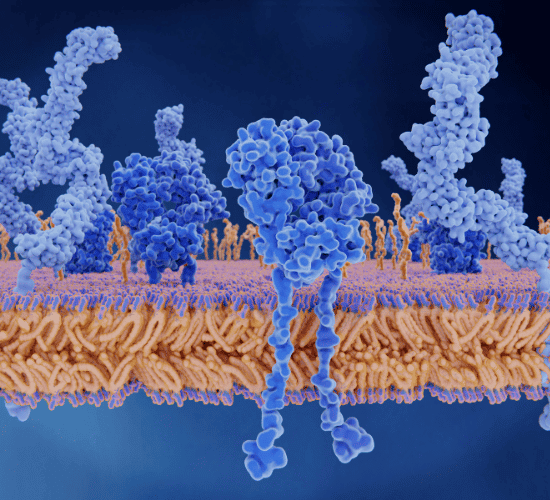 Enzymes Quiz: Are You Ready?