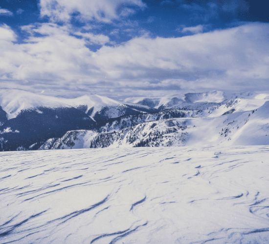 Tundra Ecosystems Quiz: Can You Ace It?