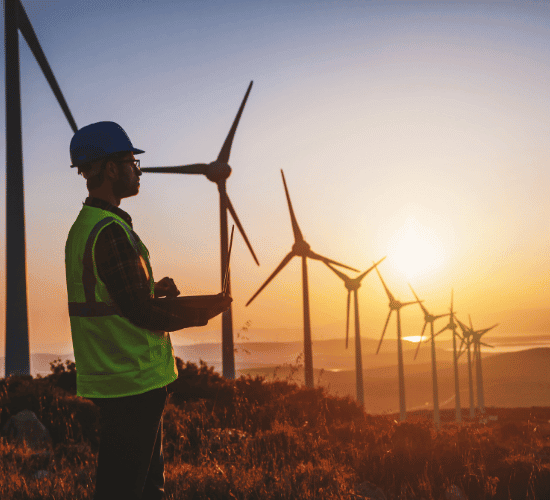 Renewable Resources Quiz: Think Fast And Answer