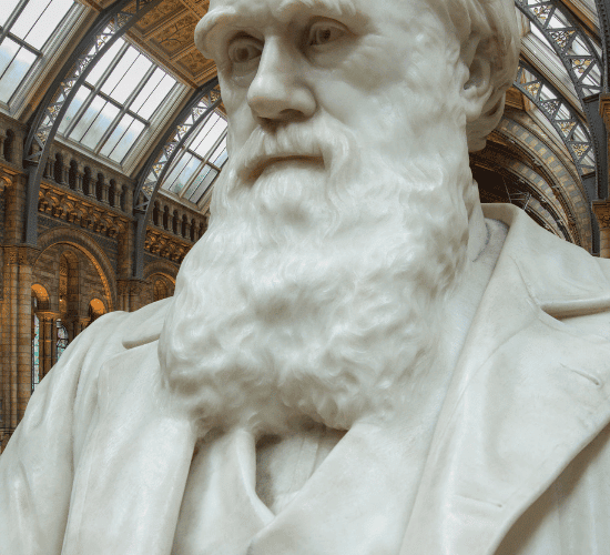 Charles Darwin Quiz: Are You Ready?