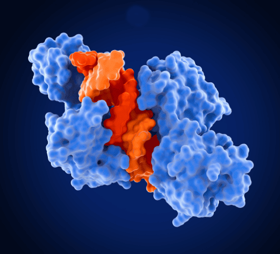 Enzymes and Metabolism Quiz: Test Your Brainpower
