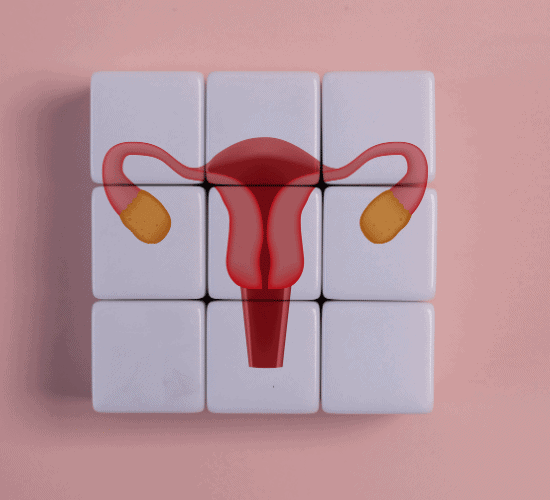 Menstrual Cycle Quiz: Test Your Knowledge