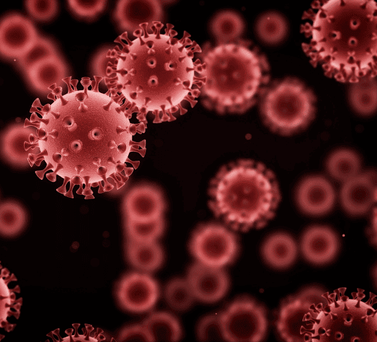 Viruses and Disease Quiz: Try to Score 100%