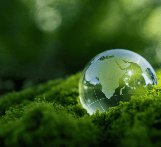 Ecological Succession Quiz: Can You Crack It?