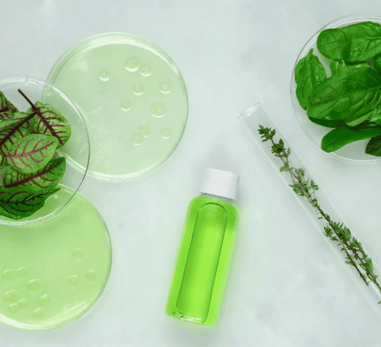 Biogeochemical Cycles Quiz: Are You a Genius?