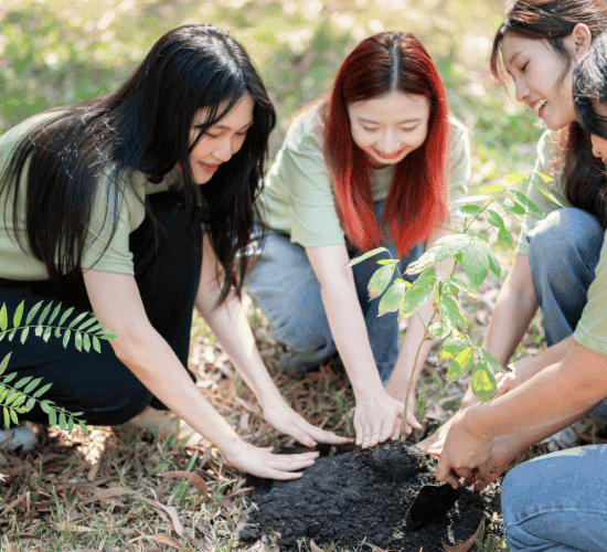 Community Ecology Quiz: Are You an Expert?