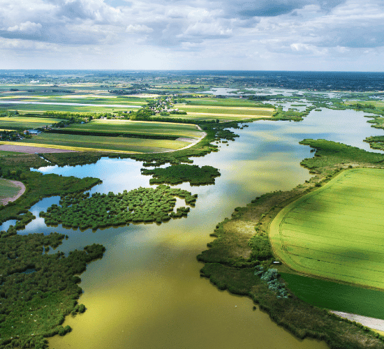 Global Biodiversity Quiz: Prove Your Skills