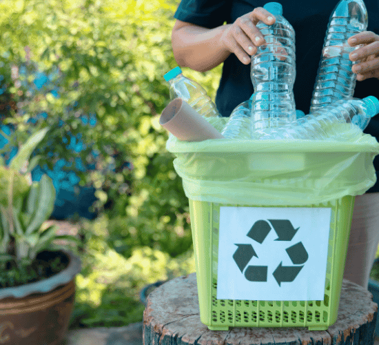 Waste Management Quiz: Are You a Genius?