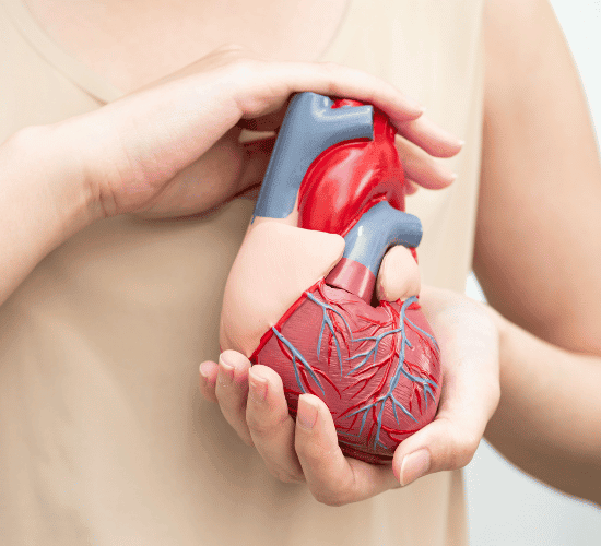 Cardiovascular Health Quiz: Can You Crack It?