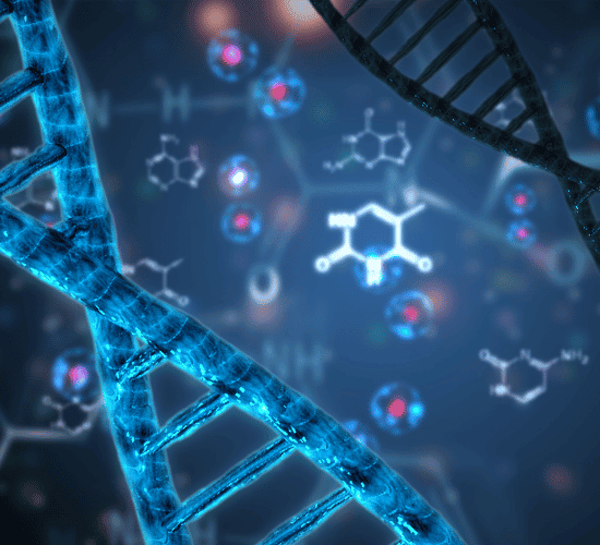 Nucleic Acids Quiz: Prove Your Skills