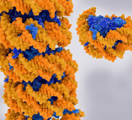 Proteomics Basics Quiz: Test Your Expertise