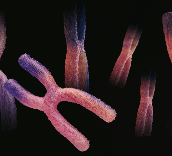 Evolutionary Genetics Quiz: Are You Ready To Win?