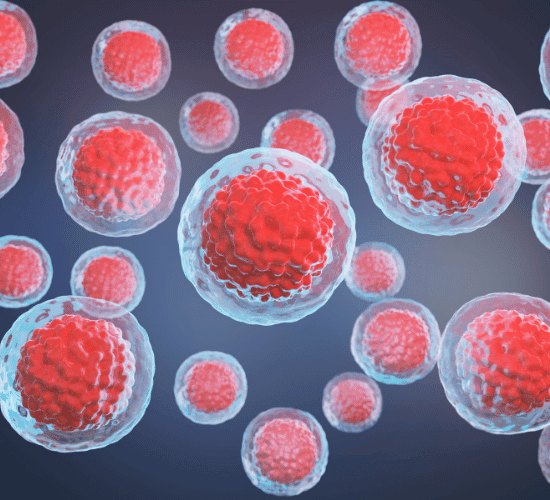 Stem Cell Differentiation Quiz: Prove Your Skills
