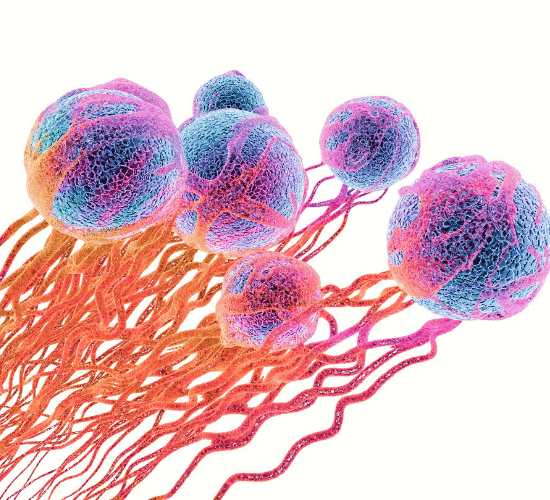 Cell Communication  Quiz: Are You Ready?