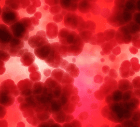 Extracellular Matrix Quiz: Show What You Know