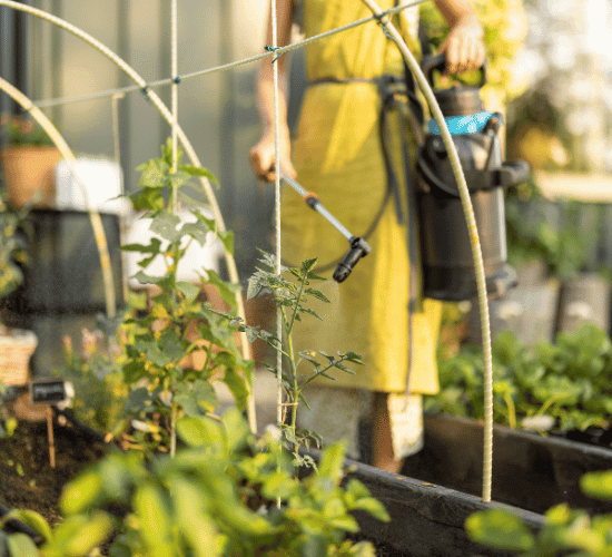 Biofertilizers Quiz: Prove Your Skills