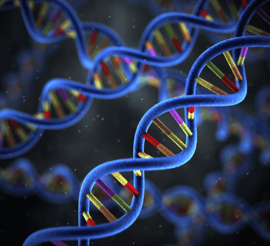 Epigenetic Regulation Quiz: Prove Your Skills