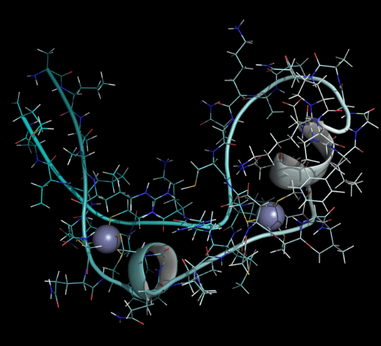 Histone Modification Quiz: Show What You Know