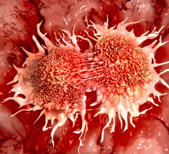 Cancer Biology Quiz: Think Fast and Answer