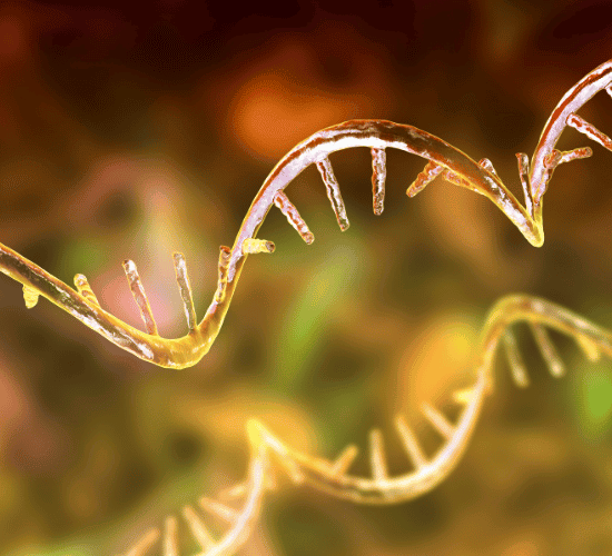 RNA Interference Quiz: Challenge Your Mind