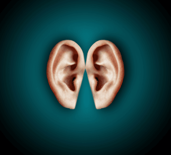 Hearing Mechanism Quiz: Can You Crack It?