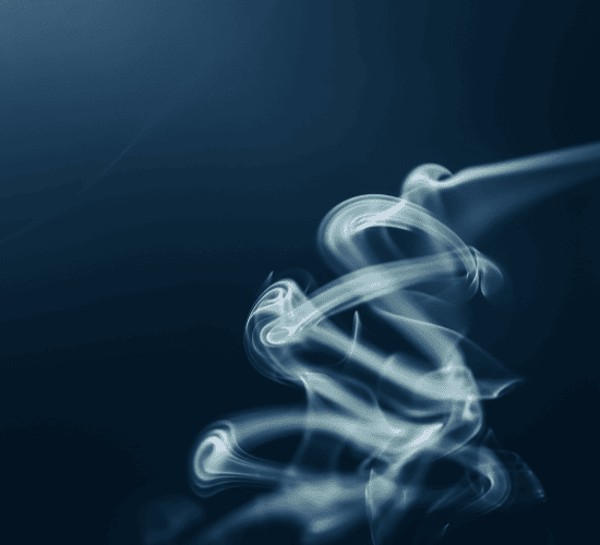 Comparative Genomics Quiz: Are You a Genius?