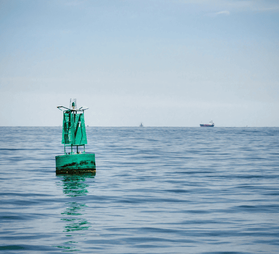 Buoyancy Quiz: Are You A Genius?