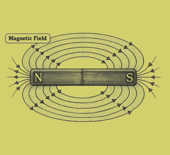Magnetic Fields Quiz: Prove Your Skills