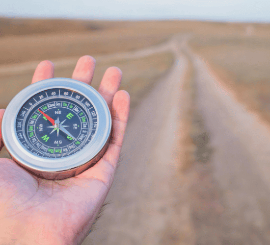 Compass Navigation  Quiz: Prove Your Skills
