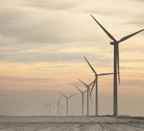 Renewable Energy Quiz: Prove Your Skills