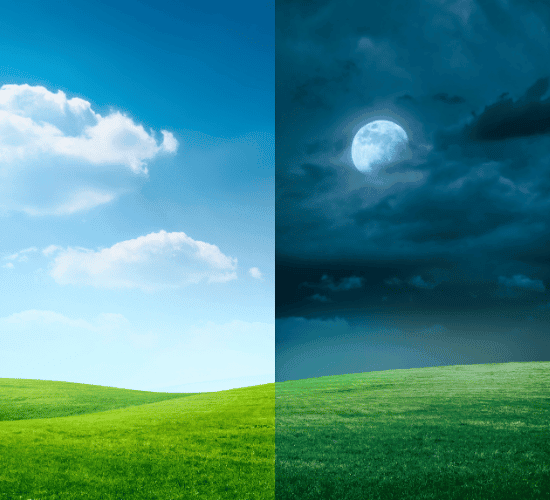 Day and Night Quiz: Can You Crack It?