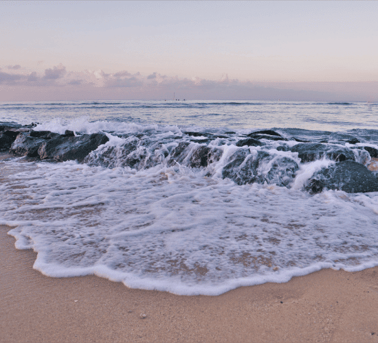 Tides Quiz: Are You a Genius?
