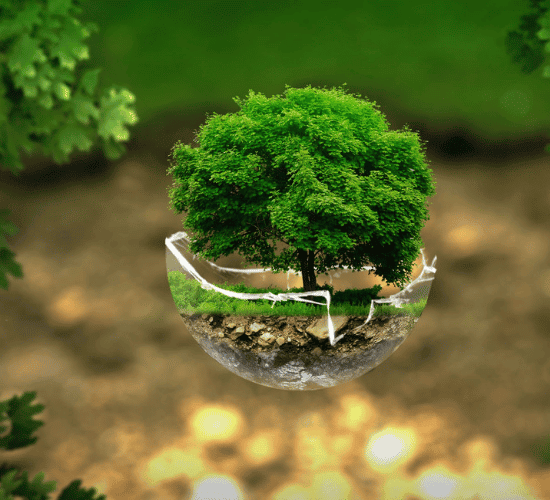 Environmental Physics Quiz: Challenge Your Mind