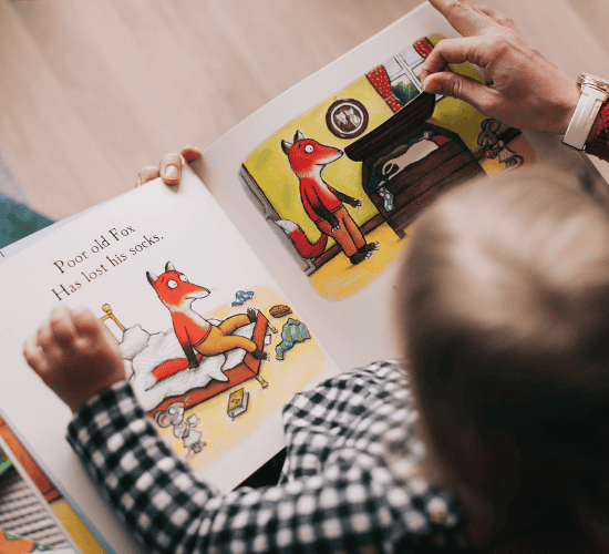 Picture Reading