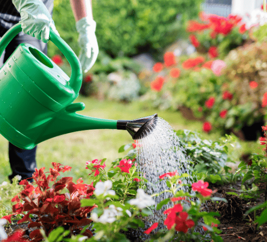 A Watering Rhyme