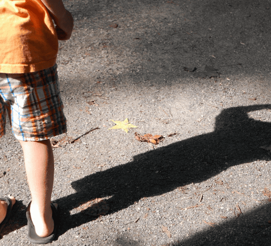 My Shadow