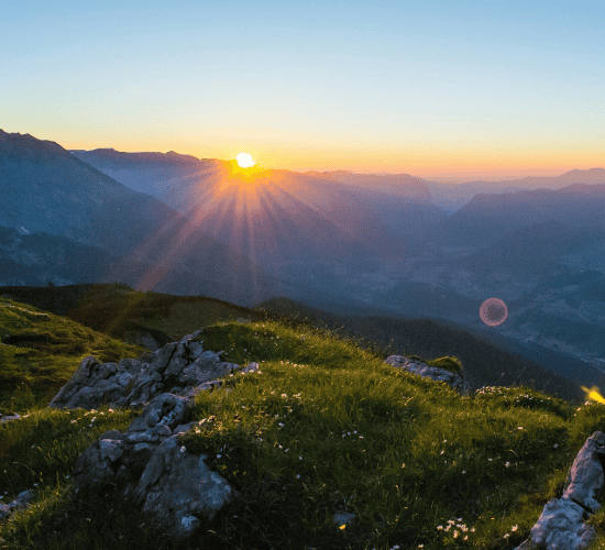 A Pact with the Sun