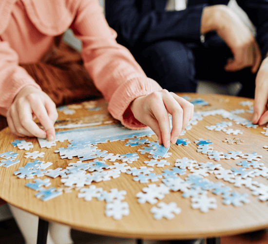 Exploring Puzzles