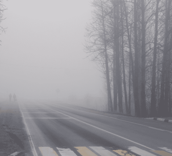 Fog