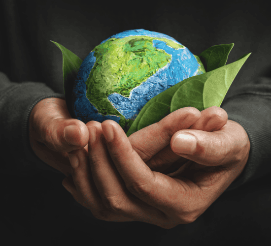 The Book That Saved the Earth