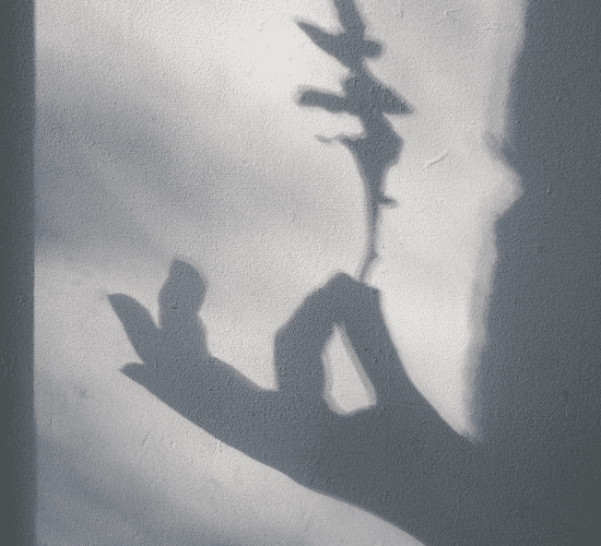 A Lecture Upon the Shadow