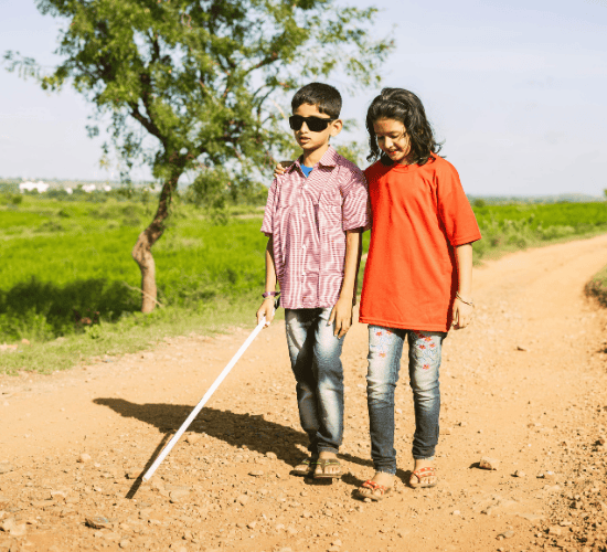 The Blind Boy