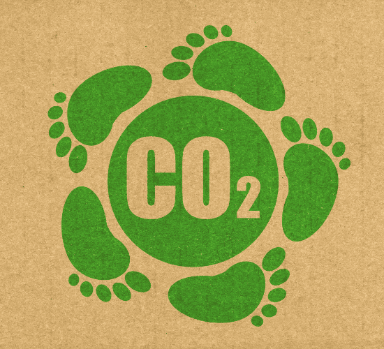 The Carbon Cycle Quiz: Challenge Your Mind