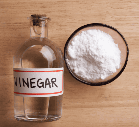 Vinegar Experiments Quiz: Can You Answer All?