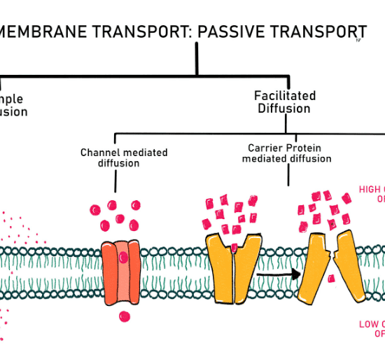 Diffusion in Daily Life Quiz: Can You Pass This?