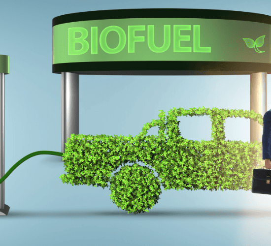 Renewable Fuels Quiz: Think Fast and Answer