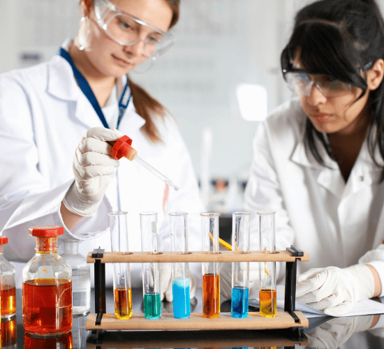 Observing Chemical Changes Quiz: Try to Score 100%