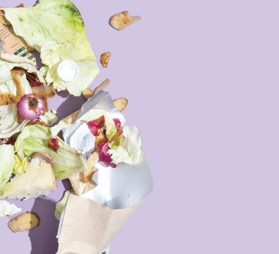 Non-Biodegradable Waste Quiz: Challenge Your Mind