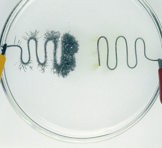 Simple Electrolysis Quiz: Show What You Know